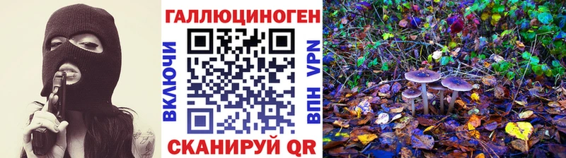 Галлюциногенные грибы Cubensis  цены   Нижний Новгород 